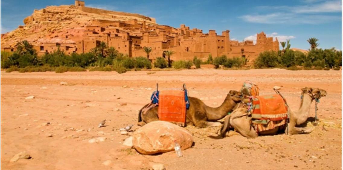 Chez Maya Marrakesh Bagian luar foto